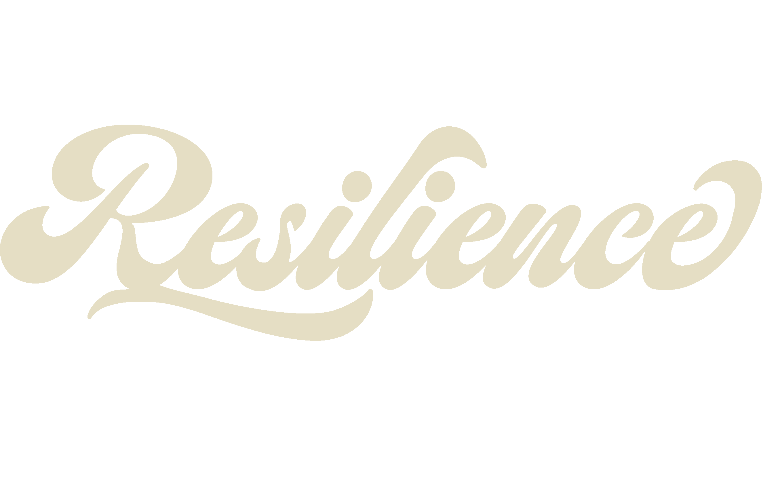 Resilience store