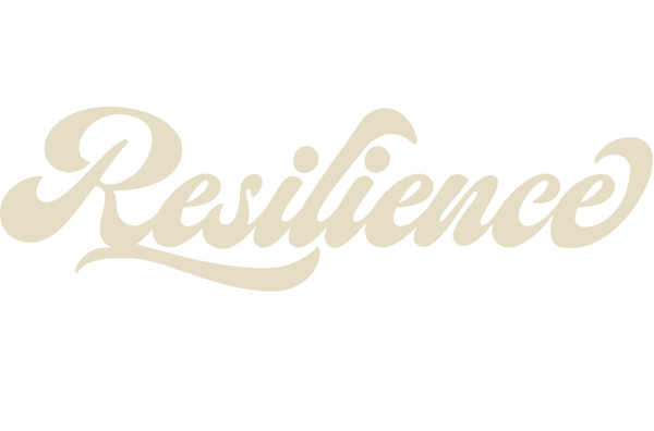 Resilience store